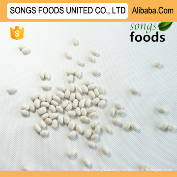 Heilongjiang White Kidney Beans